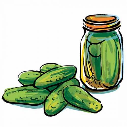 Vertical Gardening: Growing Cucumbers